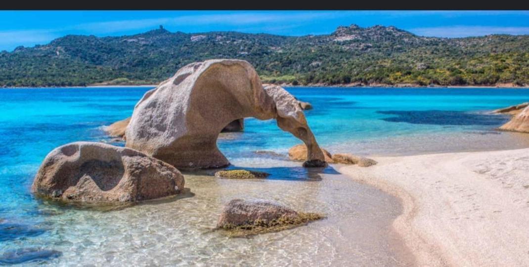 Appartamento Taras Sottovento - Porto Cervo Abbiadori Pokoj fotografie